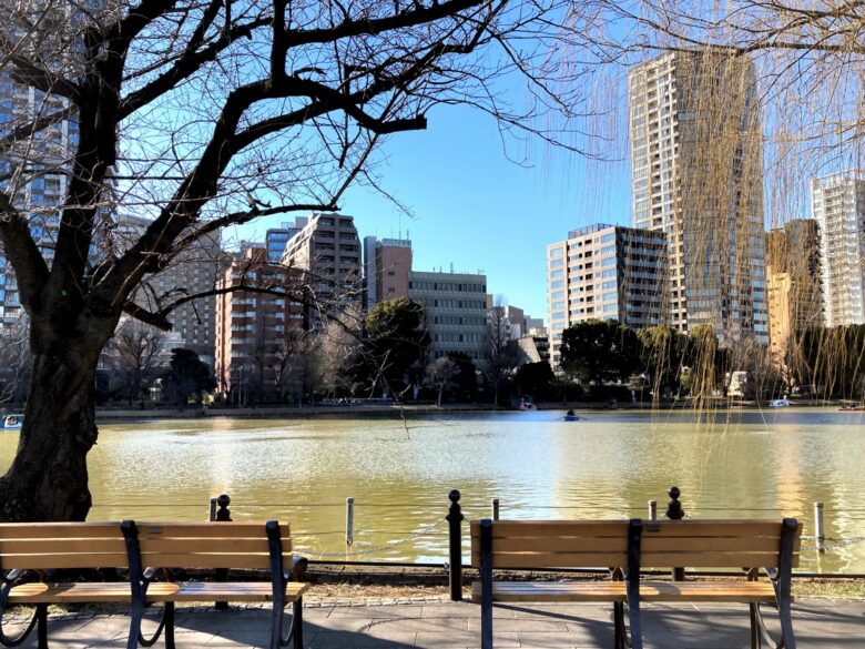 上野公園の池前の写真